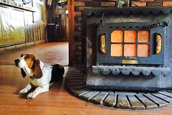 LAZY SUNDAY :  Local regular Annabelle gets warm by the wood burning stove in the Reyes Creek Bar and Grill. - PHOTO BY CAMILLIA LANHAM