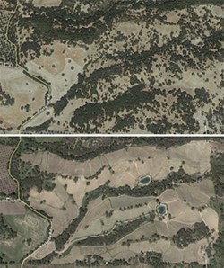 OAKED:  In preparation for their Adelaida Hills vineyard, Justin Vineyards and Winery cleared 100 acres&mdash;54 of which were densely wooded&mdash;of native oak woodland in 2011. These satellite images from September 2010 and August 2013, respectively, show the before and after of the property. The contracted arborist later sued the company for breach of contract. - SCREENSHOTS COURTESY OF GOOGLE EARTH