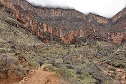 LONG WALK:  A wall of clouds blocks the top of the Grand Canyon from view as I stand near the Indian Garden Campground on Dec. 23, 2016. In 3,000 vertical feet and 4.5 miles of trail, I&rsquo;ll be at the top. - PHOTO BY CAMILLIA LANHAM