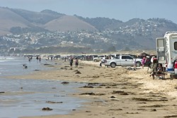 A RECKONING, MAYBE:  The Oceano Dunes State Vehicular Recreation Area is on the agenda for the Jan. 12 California Coastal Commission meeting in SLO. Up for debate is how best to continue striking a balance between the ecosystem, area residents, and recreation lovers. - FILE PHOTO BY STEVE E. MILLER