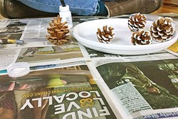 FUN WITH PINECONES:  New Times makes a great community newspaper and a nice protective layer while painting pine cones. These guys made their way to the tree as ornaments. - PHOTO BY PETER JOHNSON