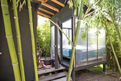 TROPICAL DELIGHT Designer Isaac Horton's Los Osos rental has been made into a lush bamboo-filled forest with a raised outdoor bedroom next to a koi pond and waterfall, with the building constructed with easy-to-disassemble screws. - PHOTO BY JAYSON MELLOM