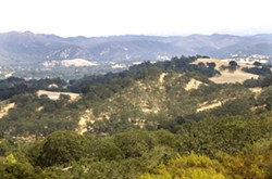 URBAN OAK FOREST Adjacent to Los Padres National Forest, Atascadero is home to sprawling hills of oak savanna, California sycamores, and chaparral. - PHOTO BY JAYSON MELLOM