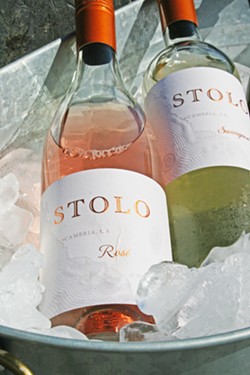 ROSE-COLORED GLASSES Stolo Family Vineyards' newly released pinot noir rose, reminiscent of watermelon rind and unripe strawberry, is perfect for dry spring brunch pairings and picnics spent lounging by the beach. - PHOTO BY HAYLEY THOMAS CAIN