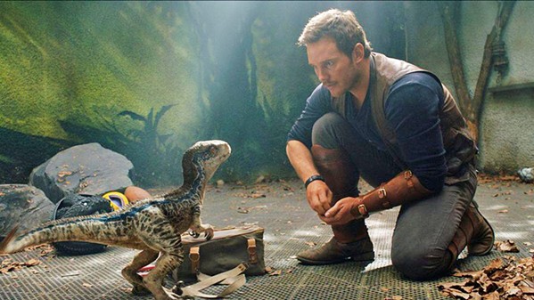 NEARLY EXINCT In Jurassic World: Fallen Kingdom, Owen (Chris Pratt, pictured) and Claire (Bryce Dallas Howard) must save the island's remaining dinosaurs when a formerly dormant volcano threatens to erupt. - PHOTO COURTESY OF UNIVERSAL PICTURES