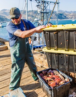 GRAB SOME CRAB Eagle deckhand Justin Jewell unloads the day’s catch of rock crab and conch at Port San Luis. - PHOTO BY JAYSON MELLOM