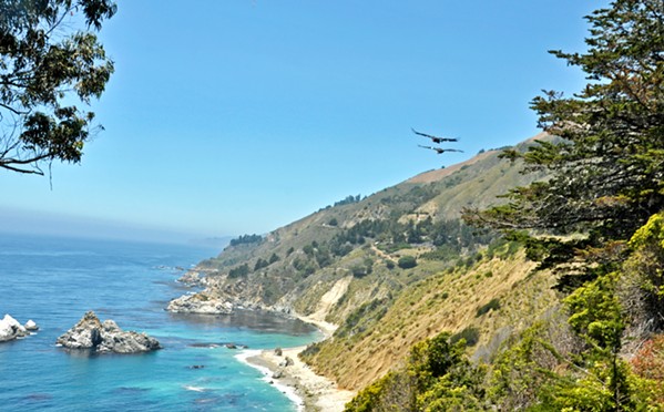 BIRD SIGHTING A group of condors soars above the Big Sur coastline near McWay Falls in 2015. - PHOTO BY CAMILLIA LANHAM