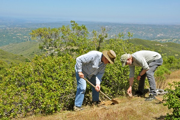 INTERPRETIVE WORK Steve Schubert went out to the Hi Mountain Lookout before visitors arrived on May 4, prepping the lookout and installing interpretive signs that identified vegetation around the fire tower. - PHOTO BY CAMILLIA LANHAM