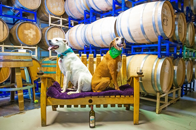 DRINKING WITH DOGS Kona (left) and Duke (right) may be around if you stop by Kelsey See Canyon Vineyards at the right time. And if they’re not there, someone else’s dog probably is, or you can always bring your own pooch to the Best Dog-Friendly Winery around. - PHOTO BY JAYSON MELLOM
