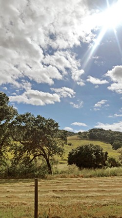 CAPTIVATING VIEWS We savor the scenic drive to and from the Adelaida area of Paso Robles. Memorial Day afforded stunning views of the rolling hills covered in still-green grass. - PHOTOS BY ANDREA ROOKS