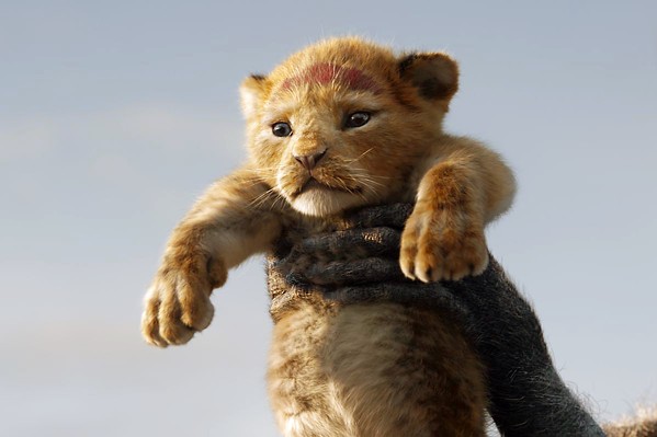 DESTINY Young Simba (voiced by JD McCrary) doesn't yet realize the scope of his responsibilities to come, in The Lion King. - PHOTO COURTESY OF WALT DISNEY PICTURES