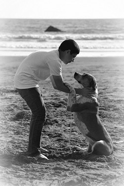 PURE Love, Always captures a tender moment between photographer Trisha Butcher's son and dog. - PHOTO COURTESY OF TRISHA BUTCHER