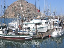 BOAT LIFE Morro Bay Harbor residents are opposed to a proposed increase in fees for harbor facilities. - FILE PHOTO BY KATHY JOHNSTON