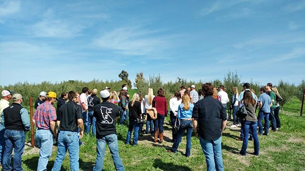 FARM TOURS CEASE For the foreseeable future, local ag operations will not be holding farm tours, like the one pictured at The Groves at 41. The North County olive oil farm is one of the Central Coast ag producers that have lost business due to COVID-19. - PHOTO COURTESY OF KAREN TALLENT
