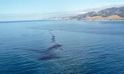 Federal, state agencies release $22 million restoration plan for Refugio Oil Spill