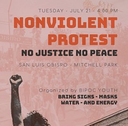 NO JUSTICE NO PEACE A July 21 protest led to an organizer’s arrest following two incidents with vehicles and protestors. - SCREENSHOT FROM INSTAGRAM