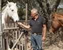 Lending a helping horse
