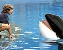 Guilty Pleasures: Free Willy