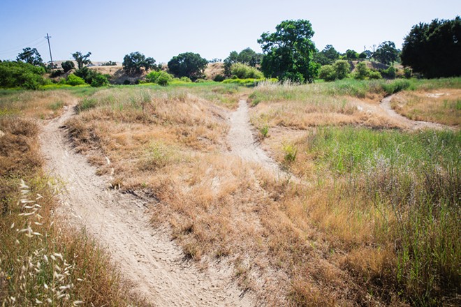 go-salinasriverbed-tracks2-sf2024.jpg