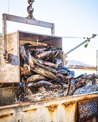 OUT OF WATER Dungeness crab fishing season started more than a month late at the end of 2020 due to new state regulations brought about by whale entanglements.