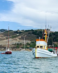 PATROLLING THE HARBOR While some would like to see Port San Luis Harbor Patrol use of force policies revamped, others say the patrol's low number of use of force incidents speaks for itself.