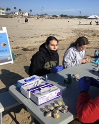 SUPPORTING SCIENCE A group of Cal Poly students, from undergraduate to graduate students, volunteered to pick, tag, and release clams for research.