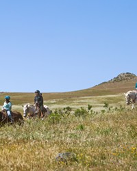SADDLE UP Katie Tanksley (left) guides a group of riders through the meadows below Cerro San Luis as part of Madonna Inn Trail Rides, the Best Horseback Riding around.