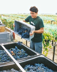 WHERE IT ALL BEGAN Aaron Jackson sourced petite sirah grapes from Paso Robles for his inaugural 2002 vintage. Today, his Aaron label remains petite-sirah-focused, with varying blends of grenache, syrah, mourv&egrave;dre, cabernet sauvignon, and petit verdot.