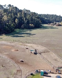 LAY IT OUT Cambria has several recreation projects in the works on the eastern Fiscalini Ranch property&mdash;including a dog park. Another project in process is a disc golf course.