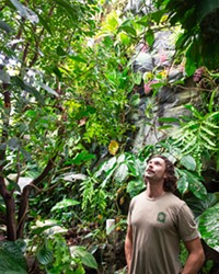 PASSION FOR PLANTS Gage Willey, the curator for the Cal Poly Plant Conservatory, admires plants in the Warm Tropics greenhouse&mdash;a space he monitors to ensure the right range of temperature and humidity.