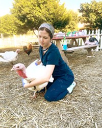 HEALTH CHECK Happy Hen Sanctuary volunteer and veterinary student Rhiannon Ferriday does an annual checkup on one of the ranch's turkeys.