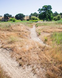 FEATURE: A long-standing trail use conflict erupts along the Salinas Riverbed in Atascadero