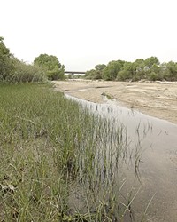 DIG IT :  Five sand and gravel mines are proposed in the bed of the Salinas River and its tributaries in the North County, now home to thousands of tadpoles.