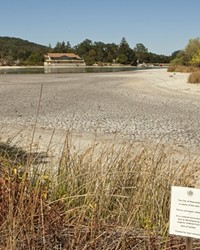 ATASCADERO'S AQUATIC PARADOX: WHILE THE CITY'S GROUNDWATER BASIN IS FULL OF WATER, ITS LAKE IS SHRINKING AND FULL OF JUNK