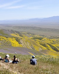 TRUMP DIRECTIVES TARGET THE CARRIZO PLAIN, OFFSHORE DRILLING