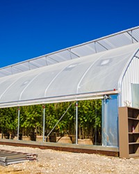 JUST SAY NO? The SLO County Board of Supervisors will continue a hearing to establish new marijuana regulations on Oct. 20, which includes a cap on outdoor grows and no cap on indoor grows, like this greenhouse in North County.