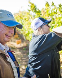 FIELDWORK Ric Fuller (left), head of Allan Hancock College's viticulture operations, takes a break during the Oct. 25 harvest at the Santa Maria campus vineyard. Students work harvests either as volunteers or as part of their viticulture classes.