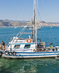 SEASON OVER The commercial Dungeness crab season closed April 15&mdash;three months early&mdash;on the Central Coast, and across California as part of a settlement over the industry's role in whale entanglements.