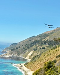 BIRD SIGHTING A group of condors soars above the Big Sur coastline near McWay Falls in 2015.