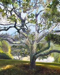 A GREAT OAK Blooming Apples is painted on a 4- by 5-foot canvas and is among Wolpert's collection at the SLO Museum of Art.