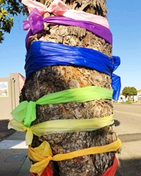 COMMUNITY DEBATE The city of Grover Beach called a time-out on community members arguing over placing ribbons on city-owned trees.s