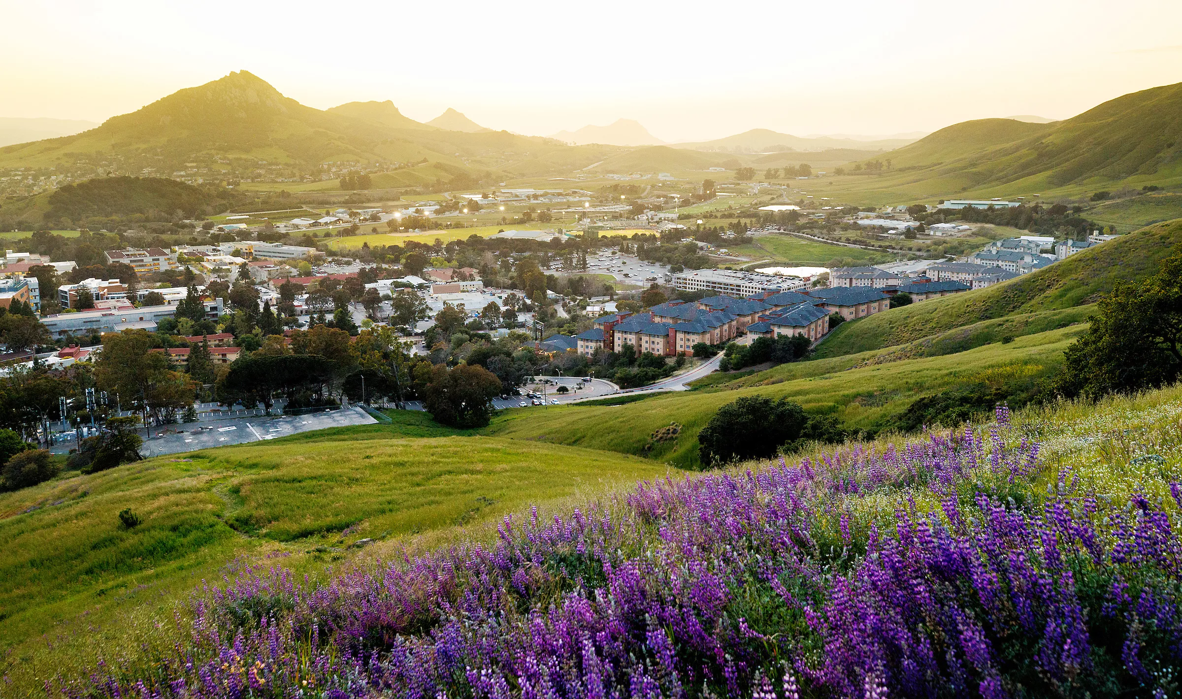 Cal Poly Introduces New Initiative To Allow Selected Freshmen To Begin