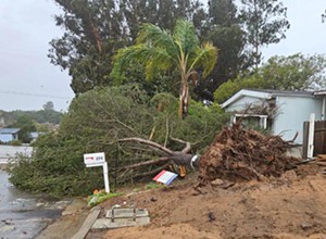Strong winds topple &#10;trees, power lines across SLO County