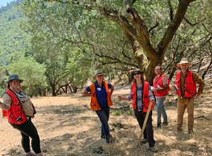 UC Cooperative Extension offers a forest stewardship workshop series in SLO County