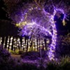 Nature Nights @ San Luis Obispo Botanical Garden