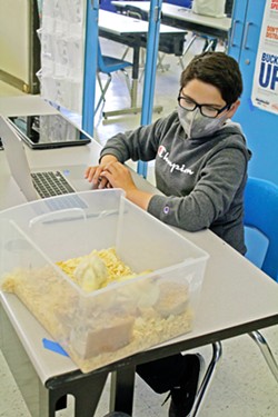 PHOTO BY KASEY BUBNASH - SMALL-SCALE SCHOOL A SLO High School student works on class assignments&mdash;including raising chicks for an agriculture class&mdash;in Ingrid Unemar Oest's pandemic learning pod.