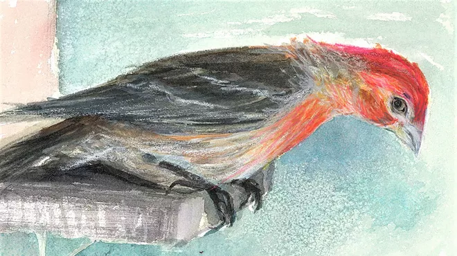 Image: Virginia Mack: Featured Artist