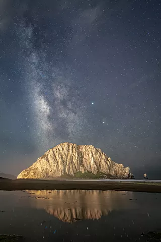 Image: WILD SEACOAST: A Group Photography Show