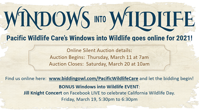Image: Windows into Wildlife