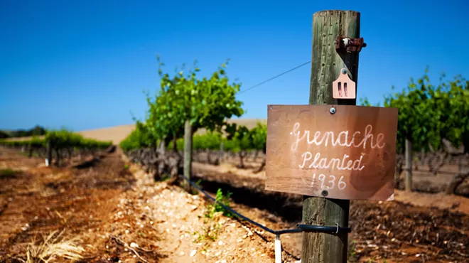Image: Wine School: The World of Grenache